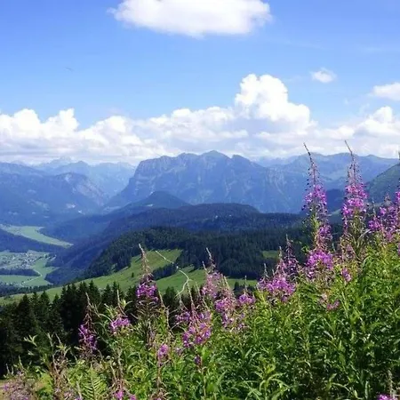 Neue In Mit Garten Und Grill By Interhome Daire Schwarzenberg im Bregenzerwald
